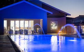 Palm Park Hotel